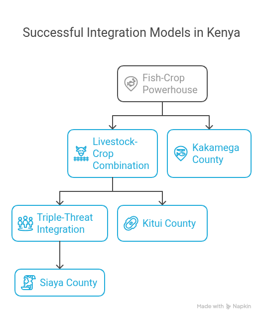The Most Successful Integration Models in Kenya - visual selection