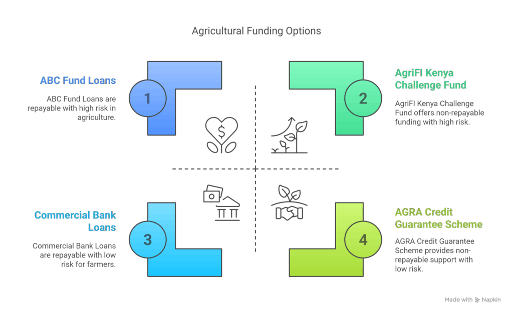 Types of Funding You Can Actually Access - visual selection