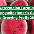 Watermelon Farming in Kenya The Beginner's Guide to Growing Profit