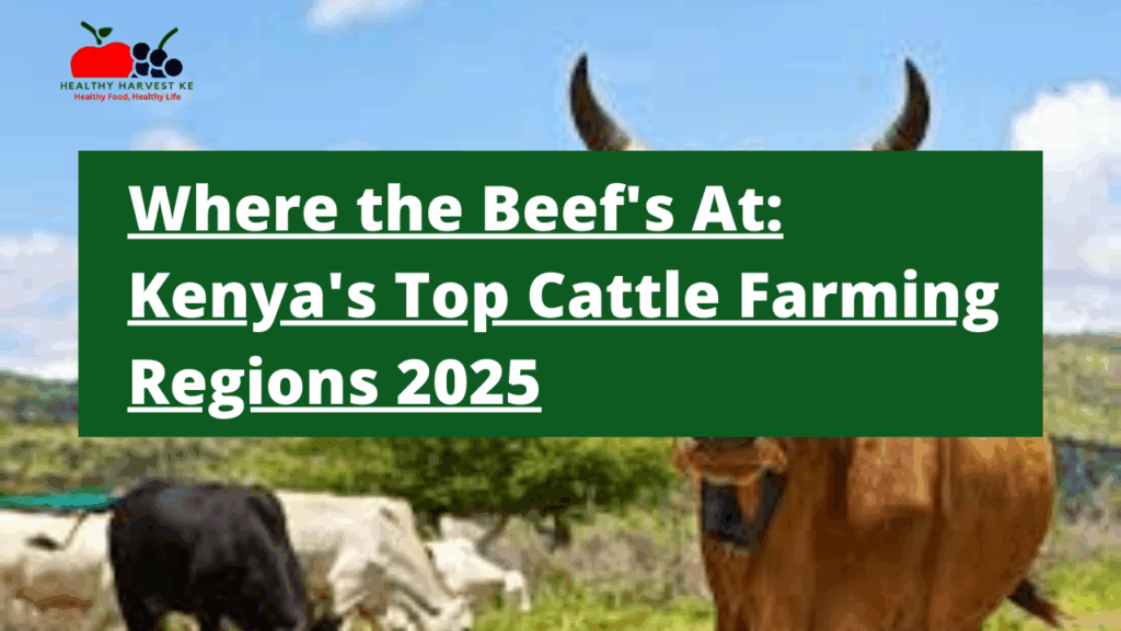 Where the Beef's At Kenya's Top Cattle Farming Regions 2025